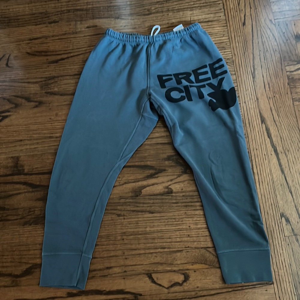 Free City sweat pants